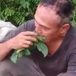 Video viral yang memperlihatkan pencuri daun pepaya dihukum warga memakannya sampai habis di Kecamatan Sunggal, Kabupaten Deli Serdang.(dok.warga)