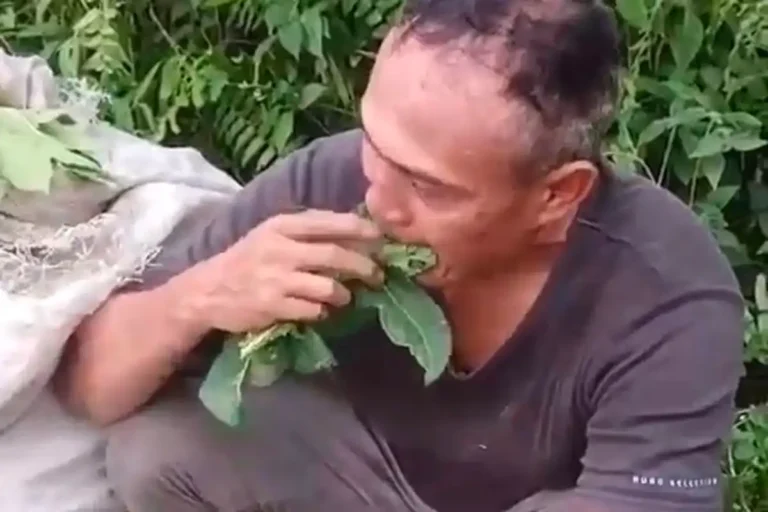 Video viral yang memperlihatkan pencuri daun pepaya dihukum warga memakannya sampai habis di Kecamatan Sunggal, Kabupaten Deli Serdang.(dok.warga)